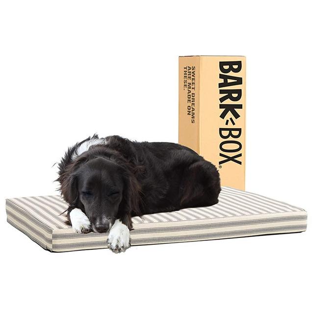Barkbox Dog Bed | Memory Foam Mattress 3" High-Density for Orthopedic Joint Relief | Machine Washable Crate Mat with Removable Cover and Water-Resistant Lining | Includes Squeaker Toy