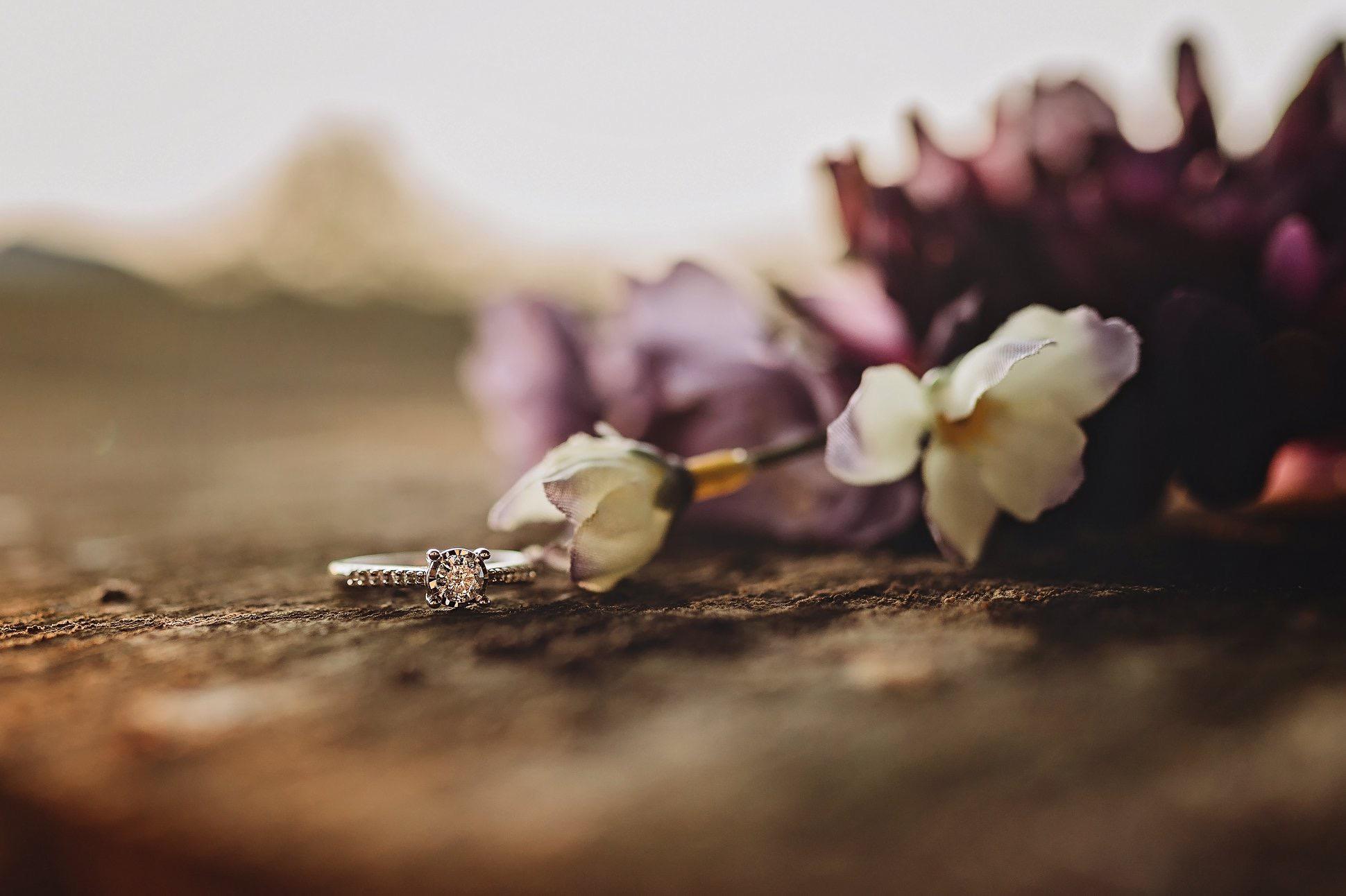 The Wedding Website of Elizabeth Cochran and Andrew Gregory