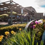 Balletto Vineyards