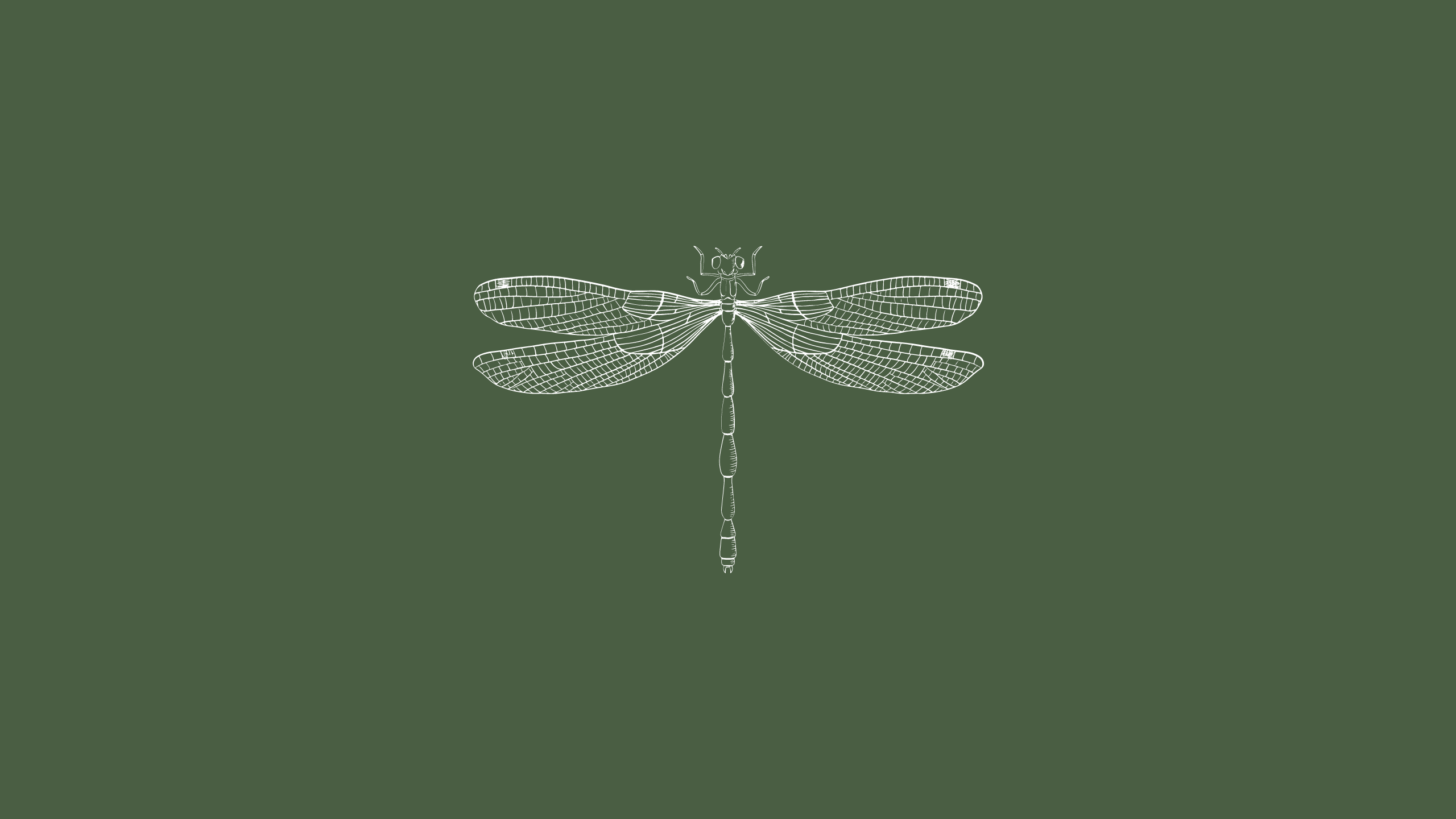 The Wedding Website of Alissa Shores and Lance Culbreth