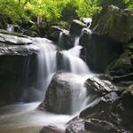 Amicalola Falls State Park