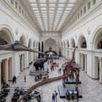 Field Museum & Museum of Science and Industry