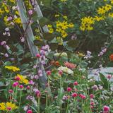 Idaho Botanical Garden