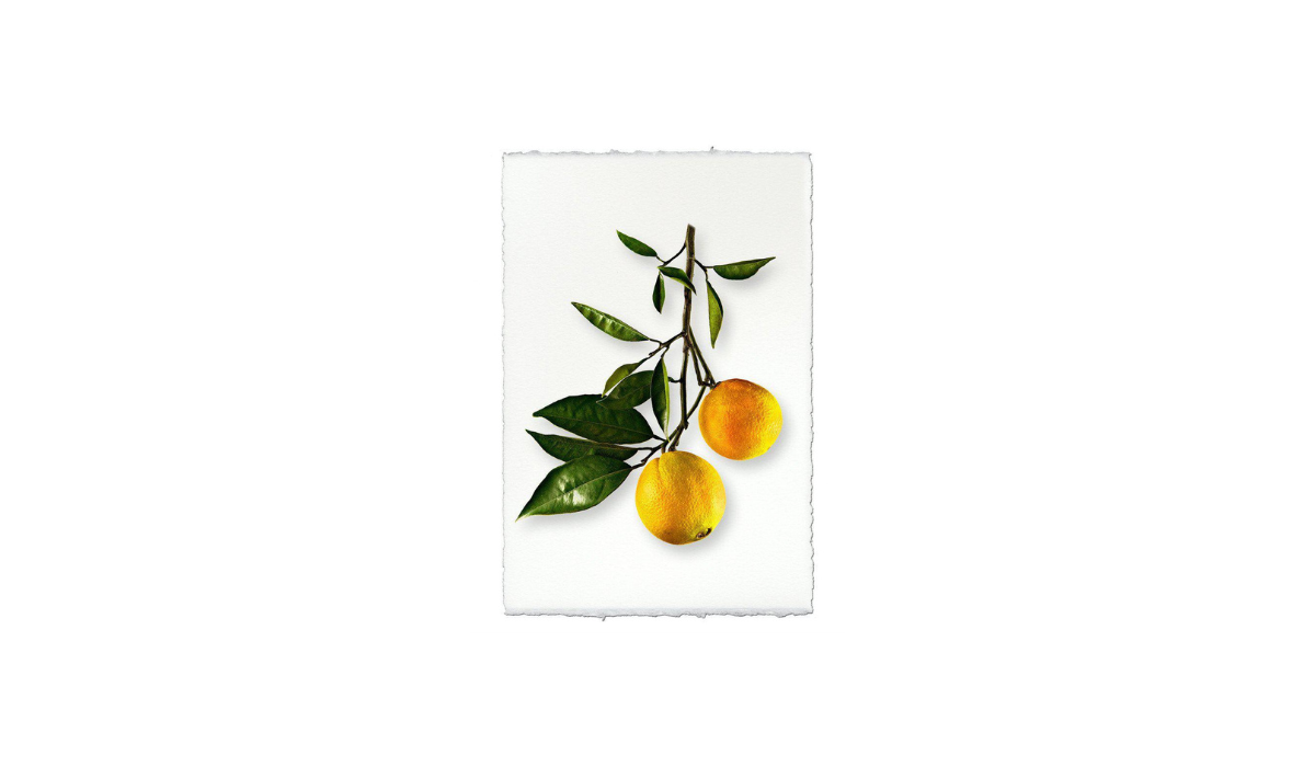 Footer image
