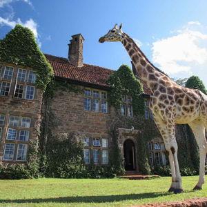 Breakfast at Giraffe Manor