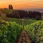 WILLAMETTE VALLEY WINE COUNTRY