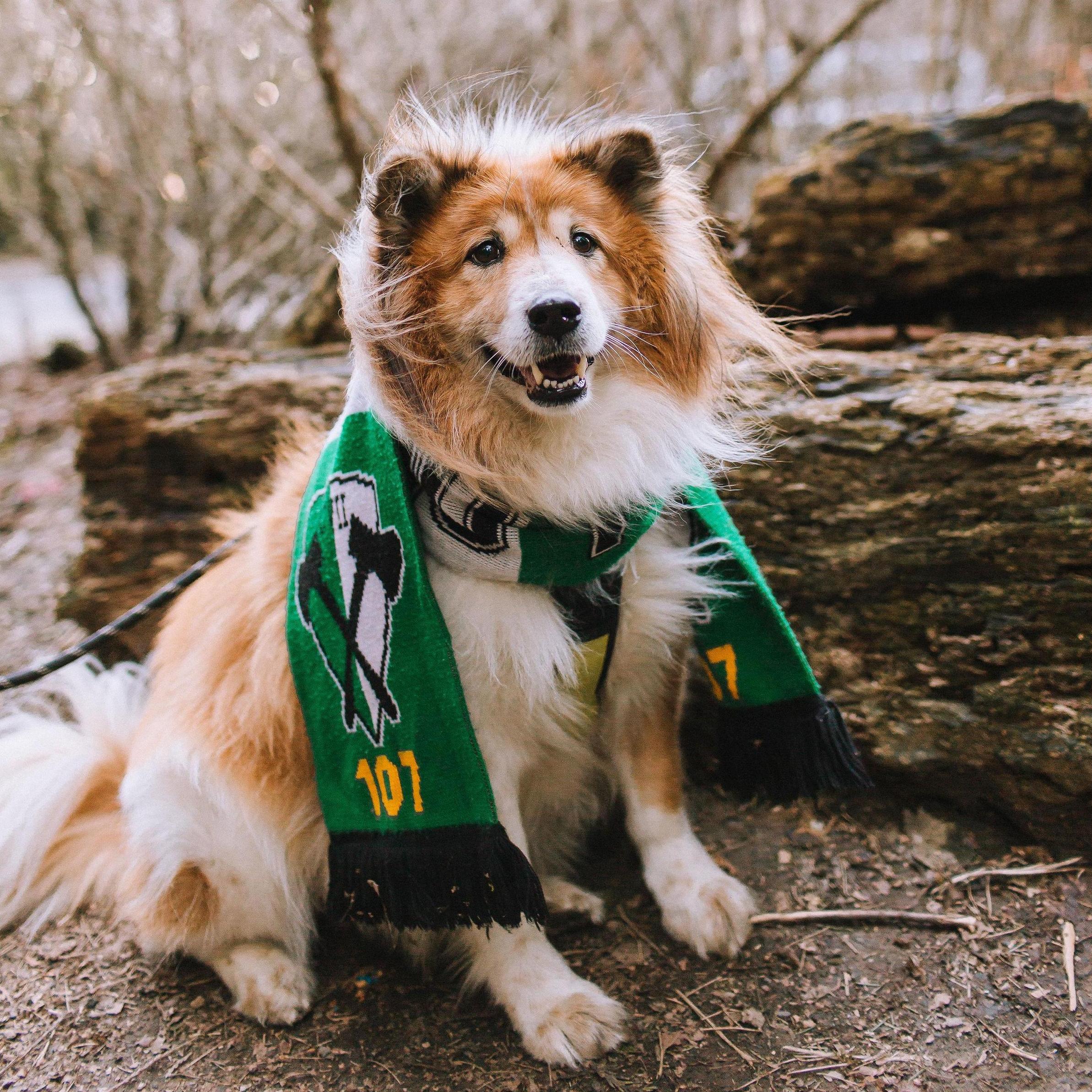 Stevie is RCTID (Rose City 'Til I Die)