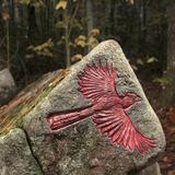 The Wild Bird Petroglyph