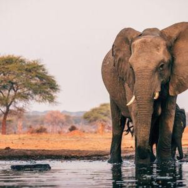 Starting our life together / Honeymoon fund for Africa