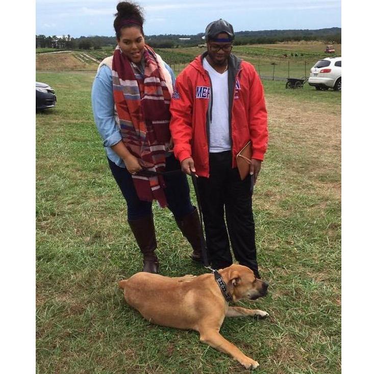Poolsville, Maryland - Annual apple picking tradition with our recent addition, Simba! Sav...what is that face?? Photo discredit: Jayne!