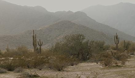 The Wedding Website of Zachary James Enderle and Chase Leigh Danforth