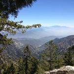 Drive up the mountain & have lunch at Mt Baldy Lodge