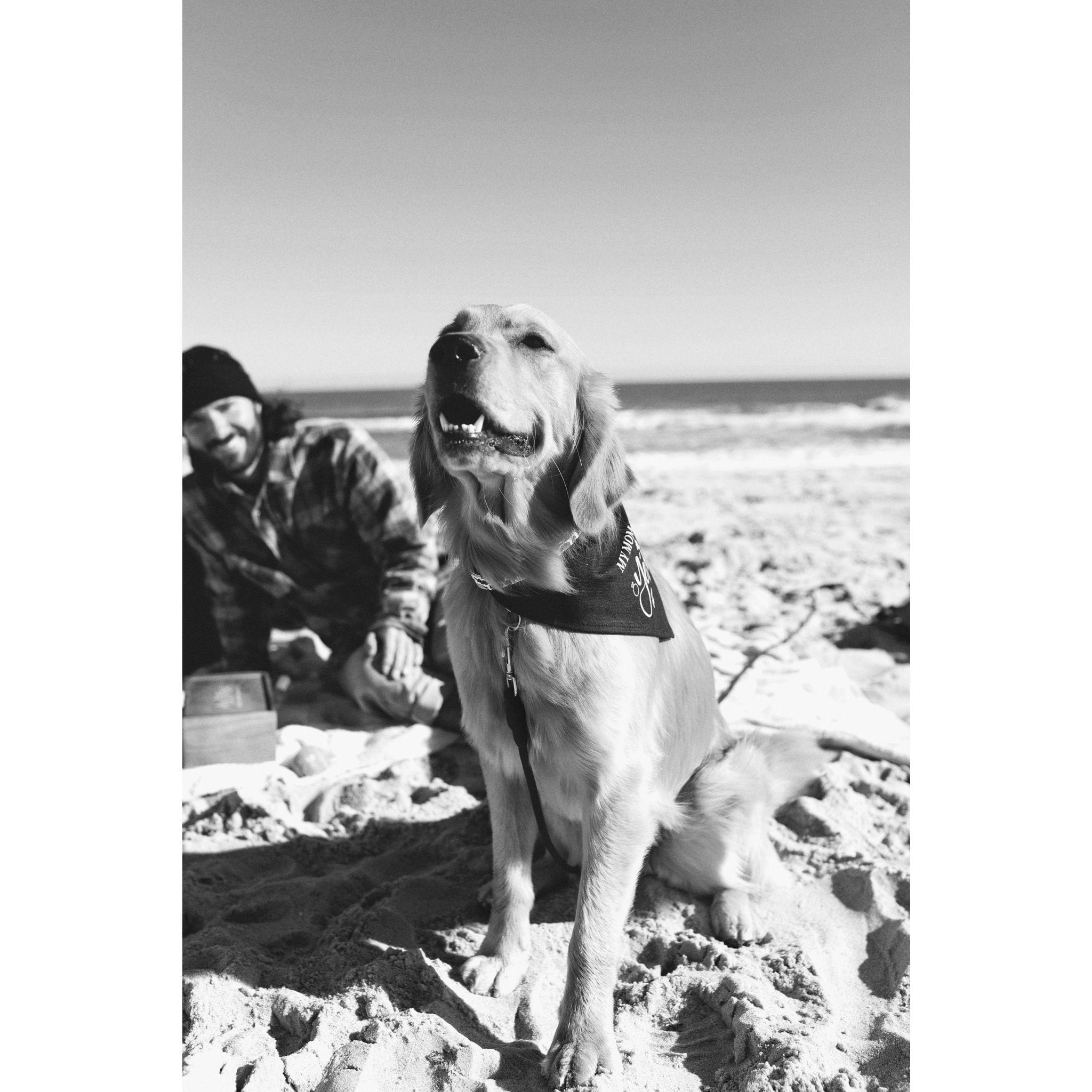 Bata at Assateague Island on our engagement day, and his 2nd Birthday, November 16, 2024.