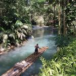 Bamboo River Rafting On Martha Brae River