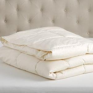 Natural Down-Alternative Duvet Insert, Classic, Full/Queen
