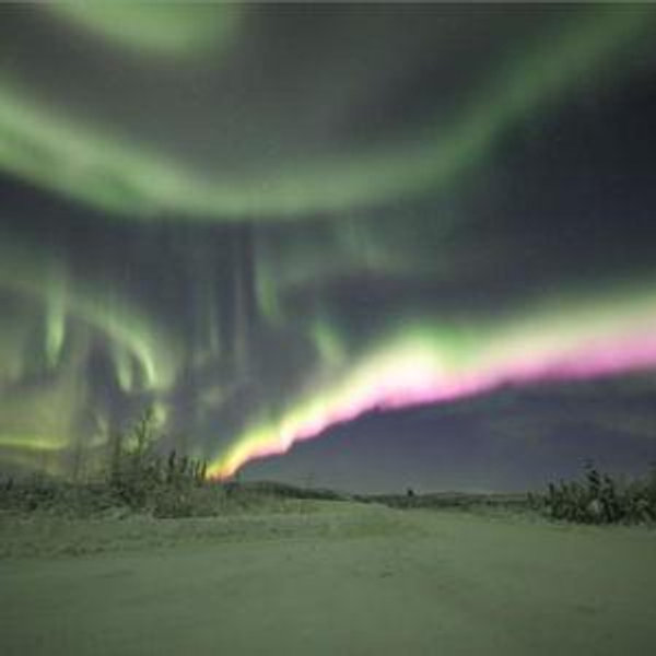 Aura Tour on our Alaskan Honeymoon