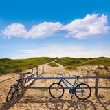 Bike Rental