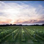 Wineries