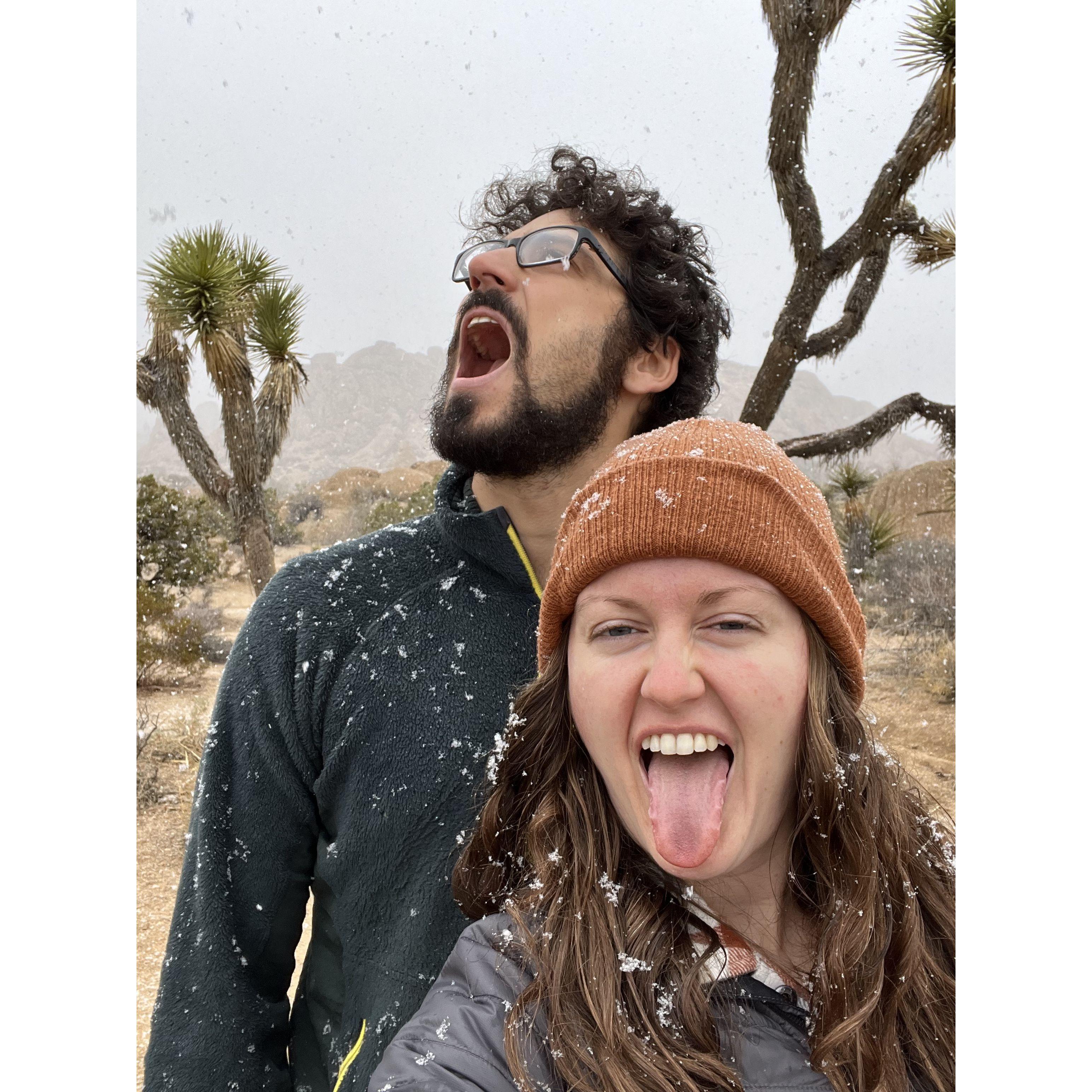 Snow in Joshua Tree!