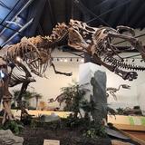 Rocky Mountain Dinosaur Resource Center