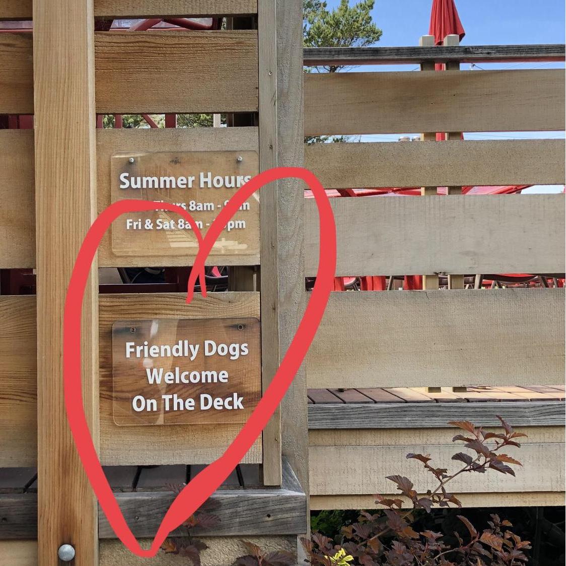 Dogs are welcome (almost) everywhere!