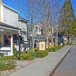 Walk Around Los Olivos