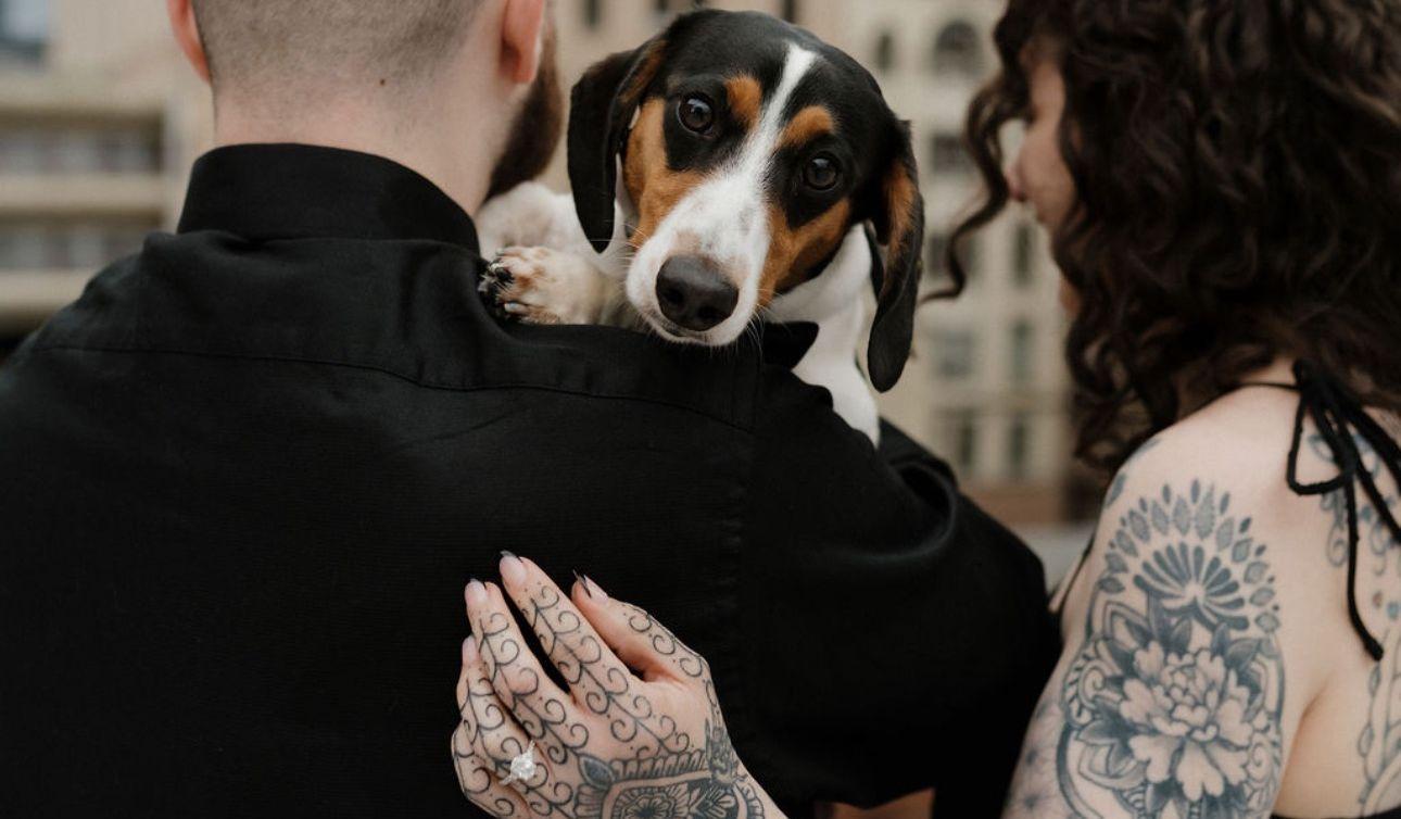 Hero Slideshow Image 1