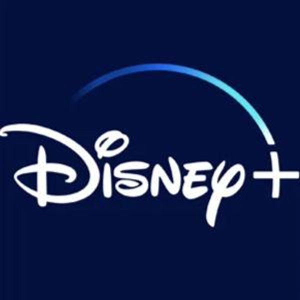 Yearly Disney+/Hulu Subscription