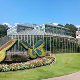 Callaway Resort & Gardens