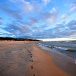 Saugatuck Beaches