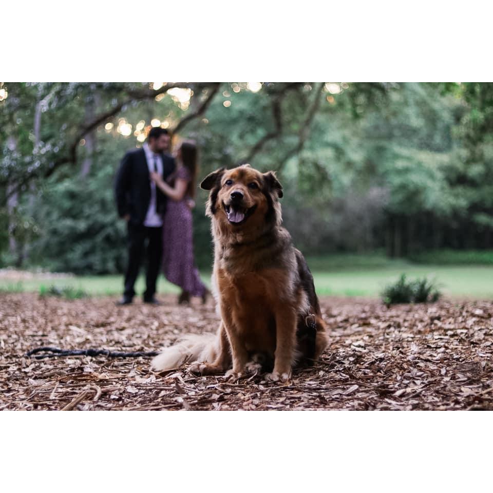 Engagement Shoot by Adrienne Teffner featuring Maxwell