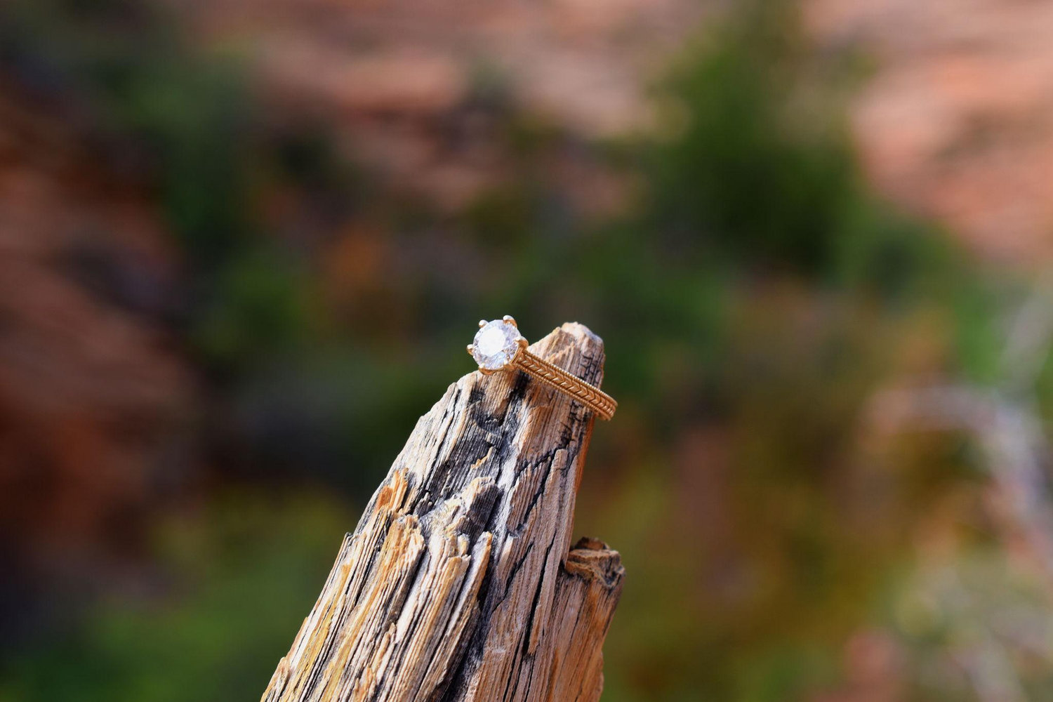 The Wedding Website of Matthew Cox and Piper Buyansky