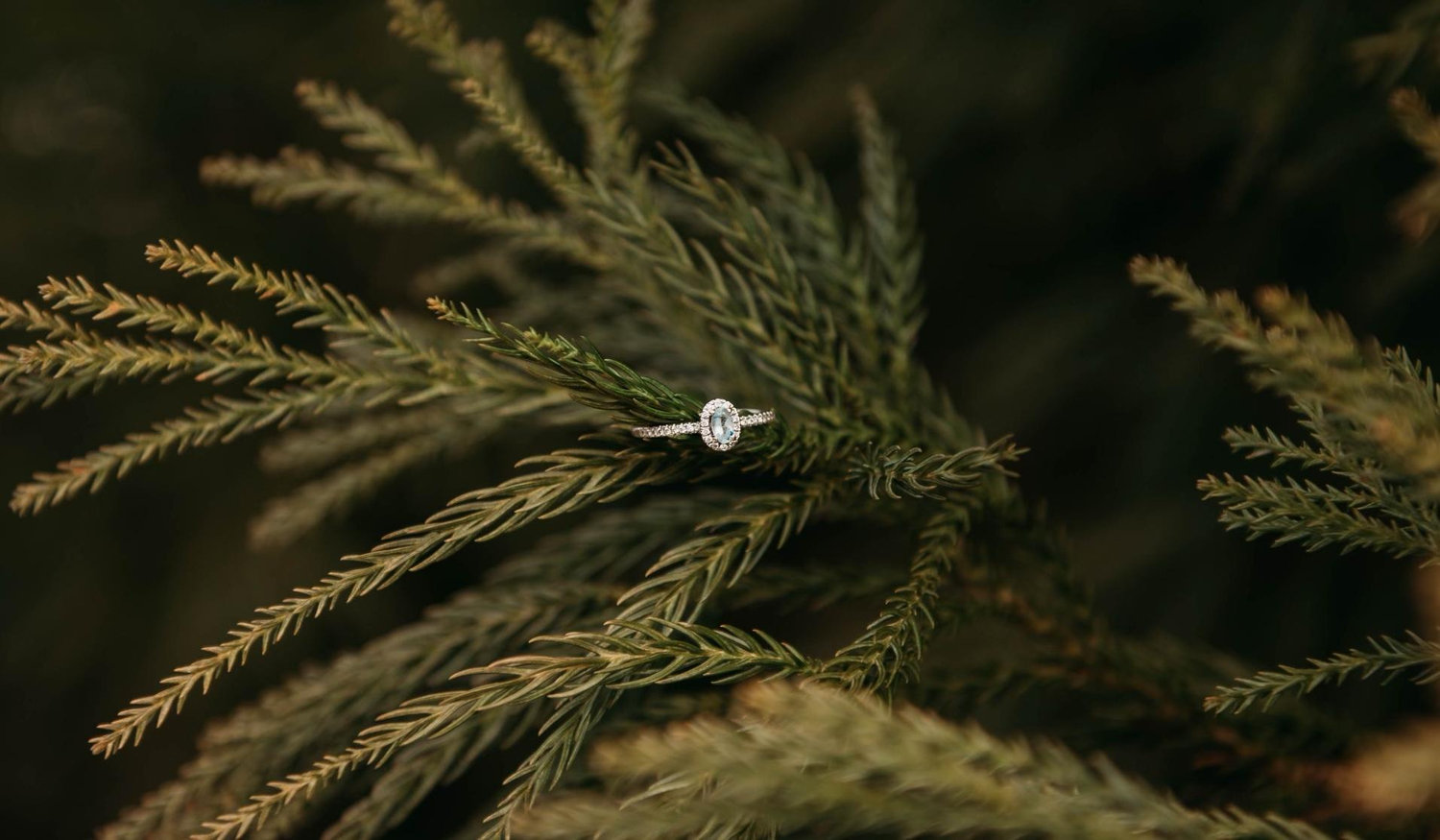 The Wedding Website of Arabella Mullins and Asad Murray
