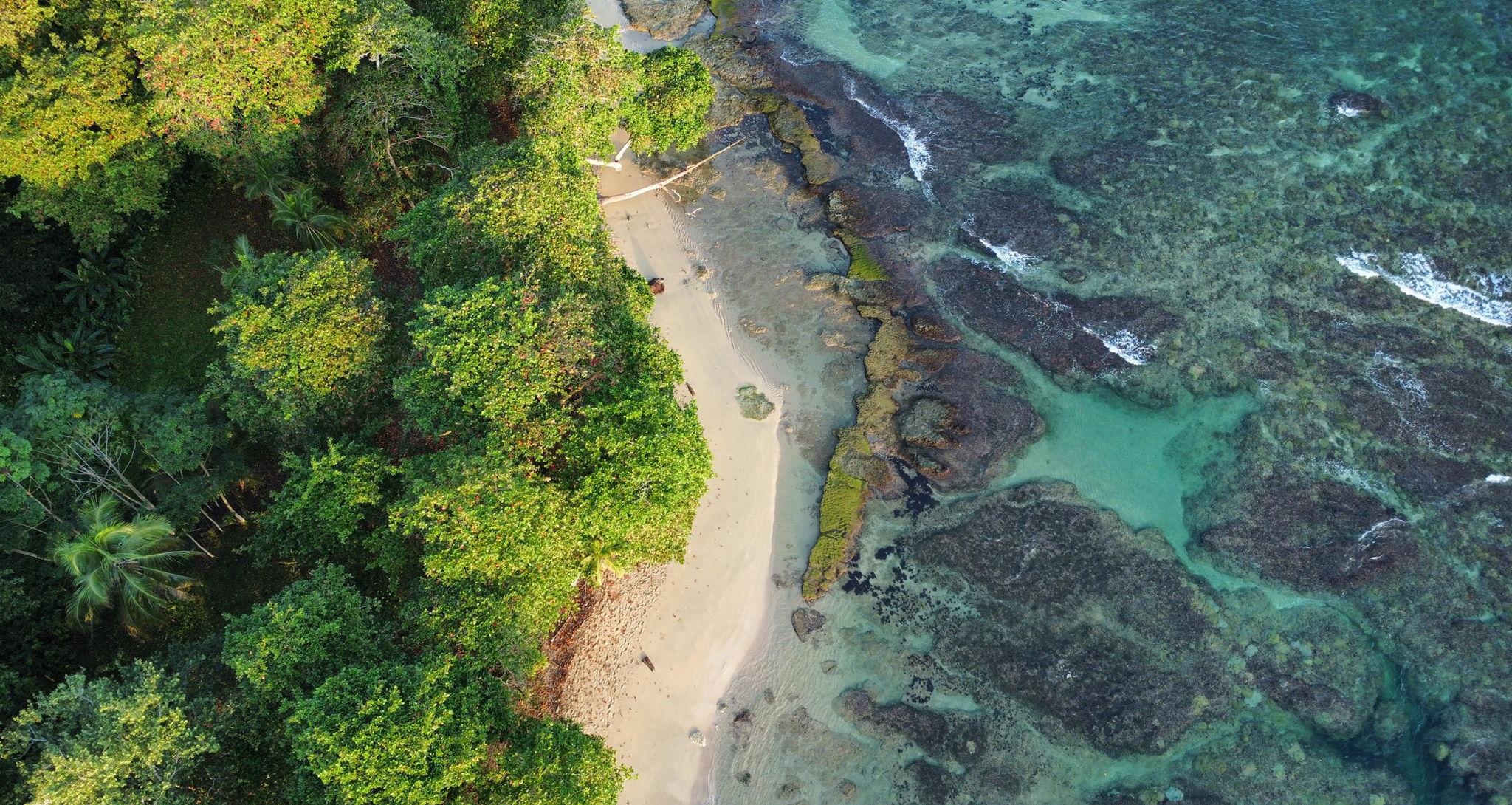 The Wedding Website of Jorge Luis Canarias and Maris Stella Fernández