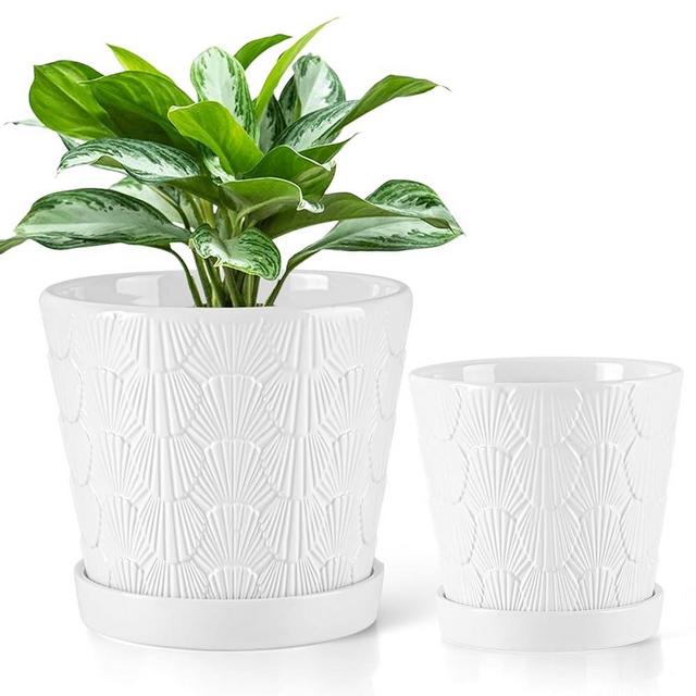 EFISPSS Ceramic Plant Pots, 5+6 Inch Pots for Indoor Plants, Planters with Drainage Holes and Tray, Modern Flower Pots Gardening Home Desktop Office Windowsill Decoration Gift Set of 2 - White