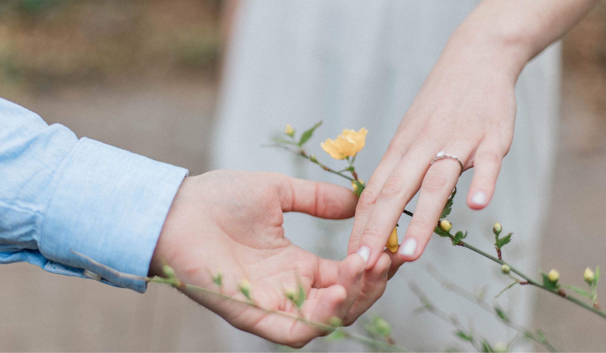 The Wedding Website of Allison Raha and Samuel Morgan