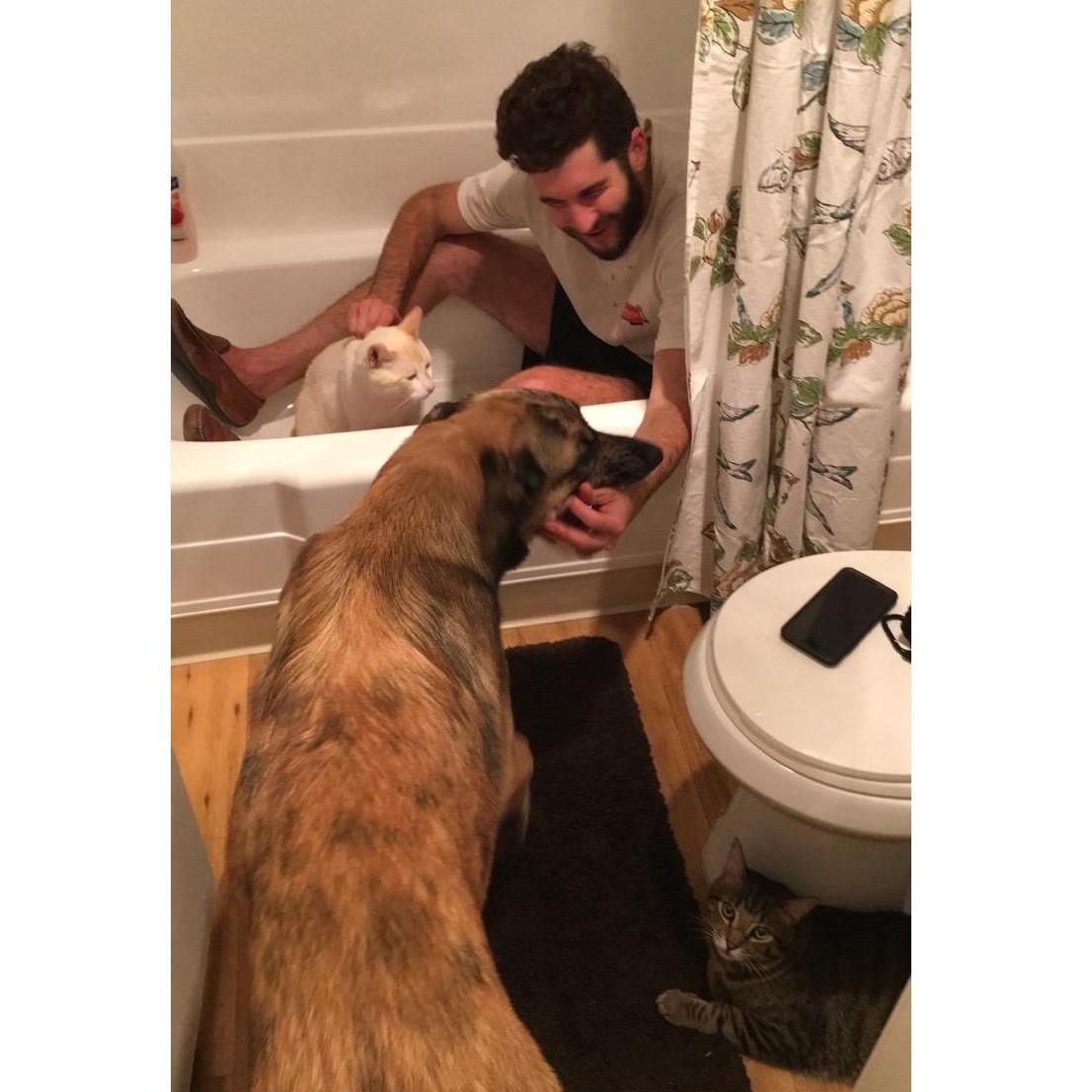 Family meeting in our new bathroom in Vista, CA - August 2016