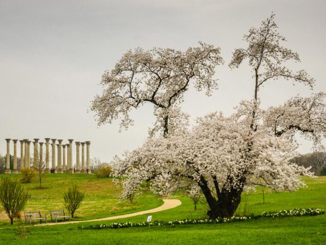 The Wedding Website of Hayley Evans and Alex Booker