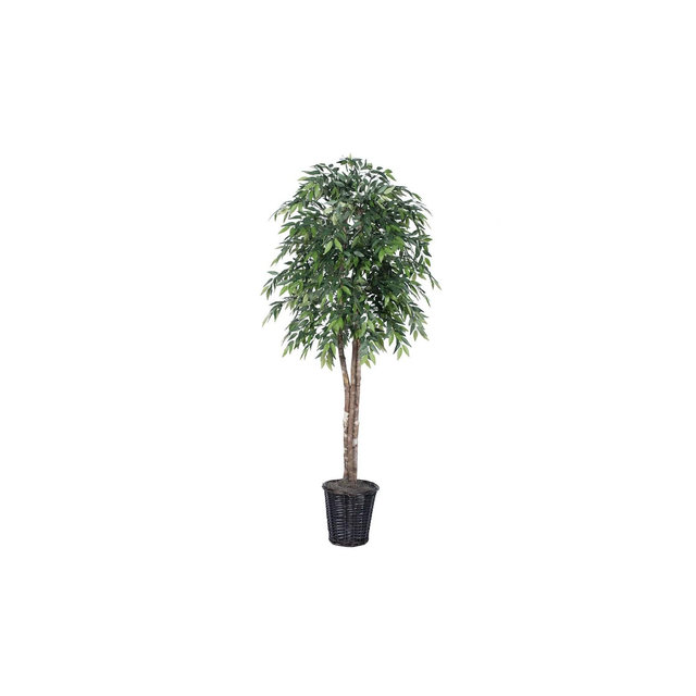 Vickerman 6' Artificial Green Smilax Deluxe, Rattan Basket In a 9"Lx9"Wx9.5"H base.