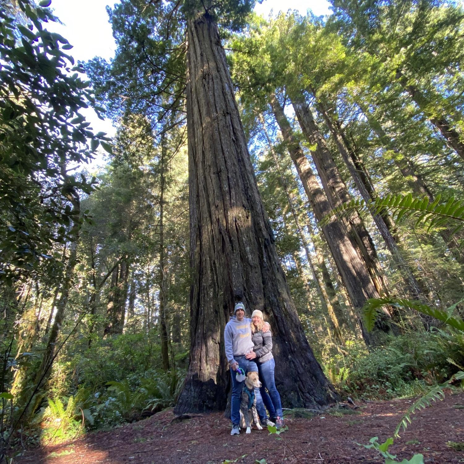 Red Wood, CA