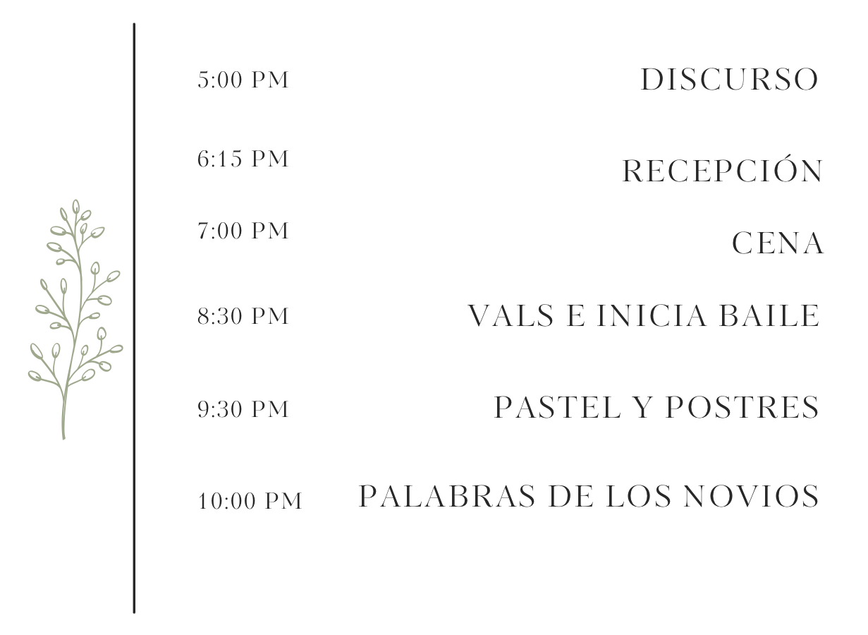 The Wedding Website of Daniel David and Sandra Melissa