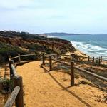 Torrey Pines State Natural Reserve