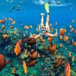 Snorkeling
