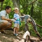 Good Zoo