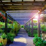 Olbrich Botanical Gardens