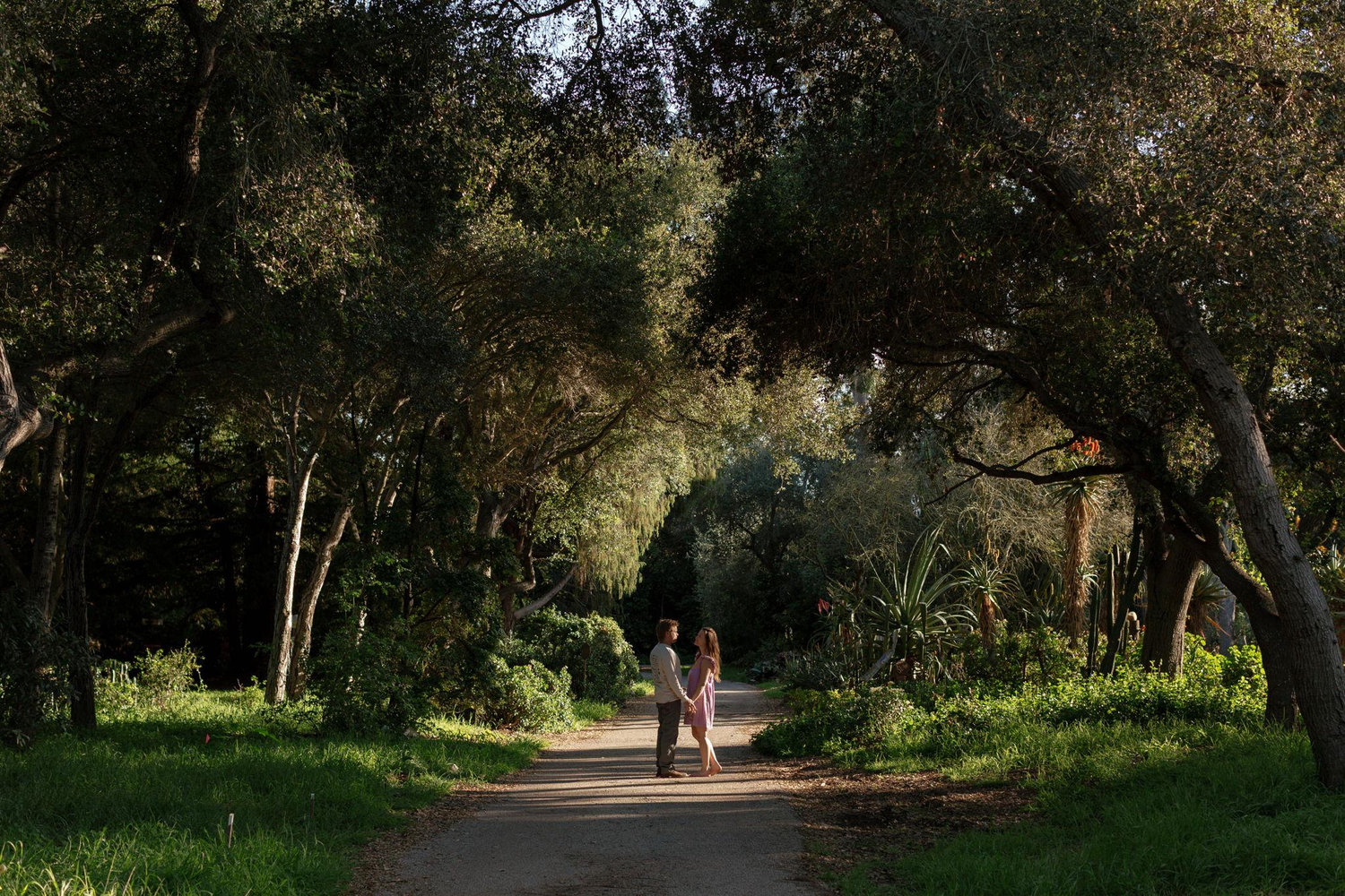 The Wedding Website of Elena Shelton and Linden Towle
