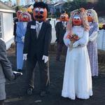 Pumpkintown USA