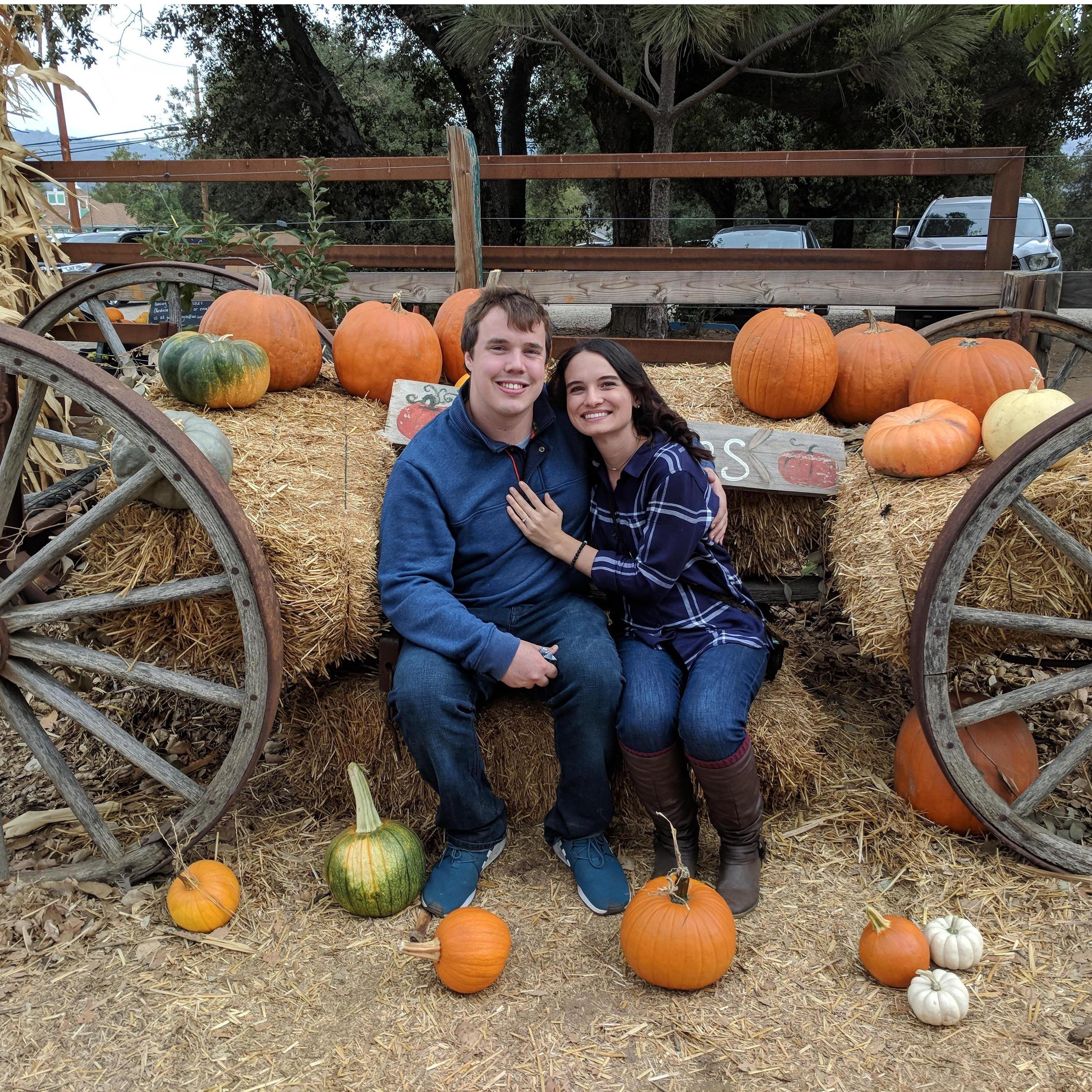 During the fall, we enjoy driving east to Julian, CA to visit the pumpkin patch and to eat the world famous Julian Apple Pie...
