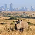 Nairobi National Park