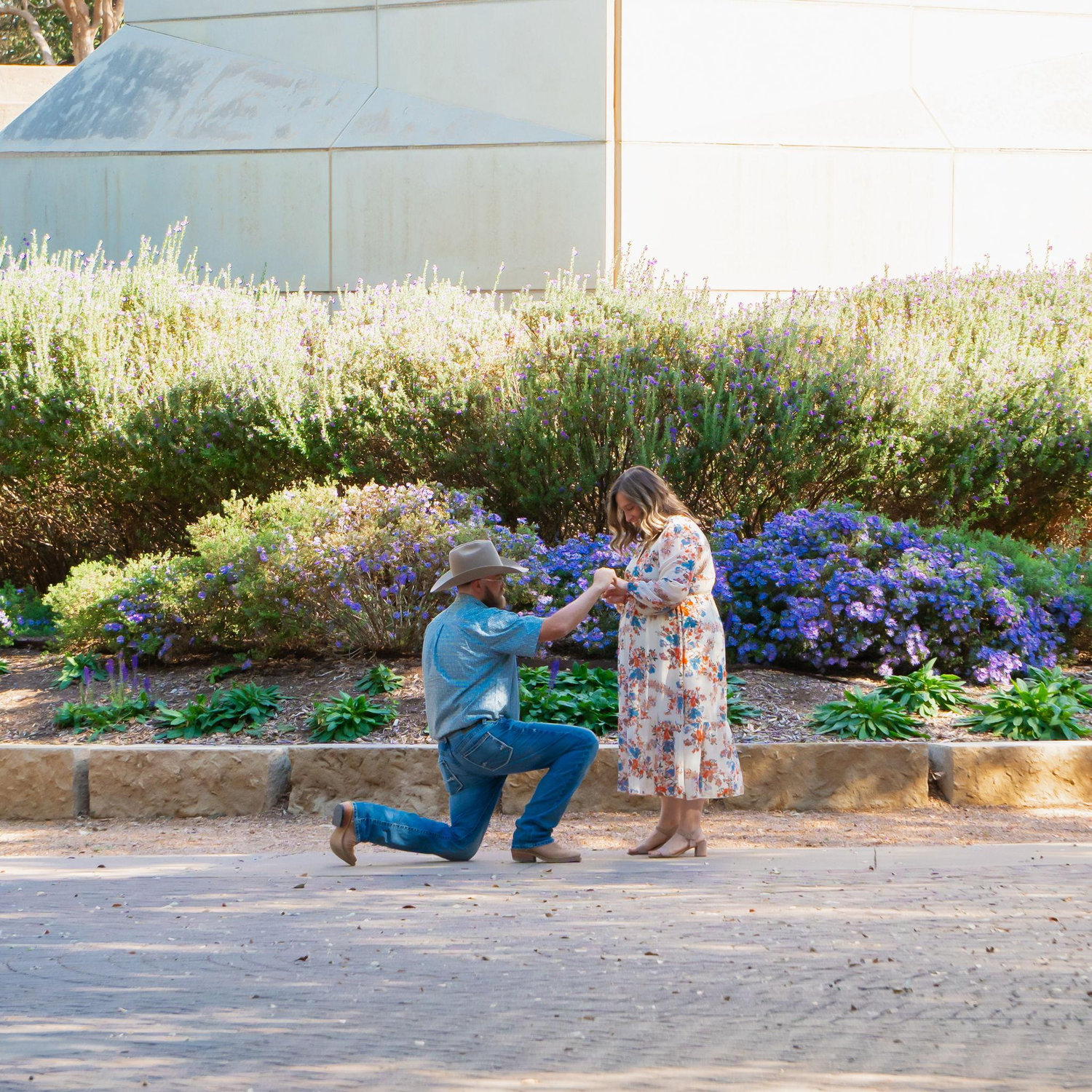The Proposal 11.16.25